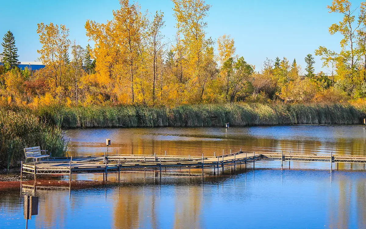 Yellow trees behind a lake